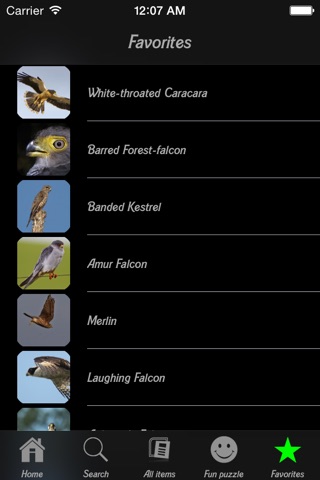 Falcons and Caracaras Info screenshot 2