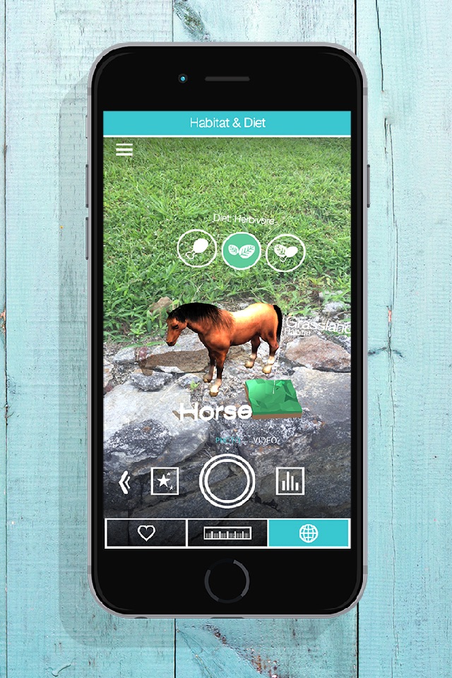 ZooKazam screenshot 2