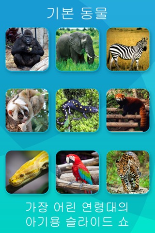 Safari and Jungle Animal Picture Flashcards for Babies, Toddlers or Preschool screenshot 2