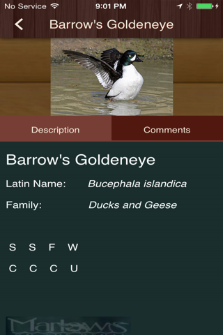 Alaska Bird Watching screenshot 3