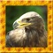 Wild Golden Eagle Simulator
