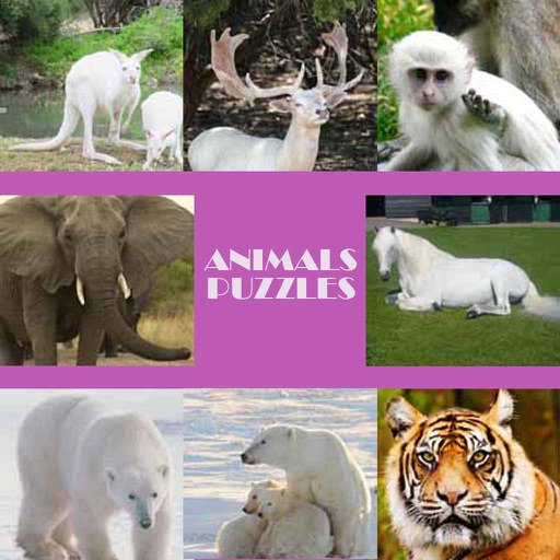 Unblock Animals Puzzle Free Icon