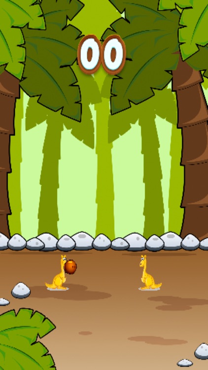 Super Kangaroo Juggling - Hold The Ball In The Air