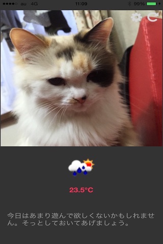 ねこ天気アラート screenshot 2
