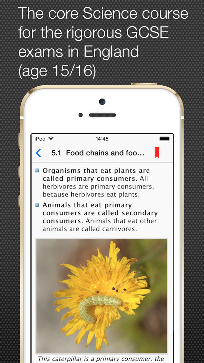 GCSE Science Lite Revision Guide
