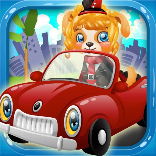 Little Puppy Car Spa iOS App