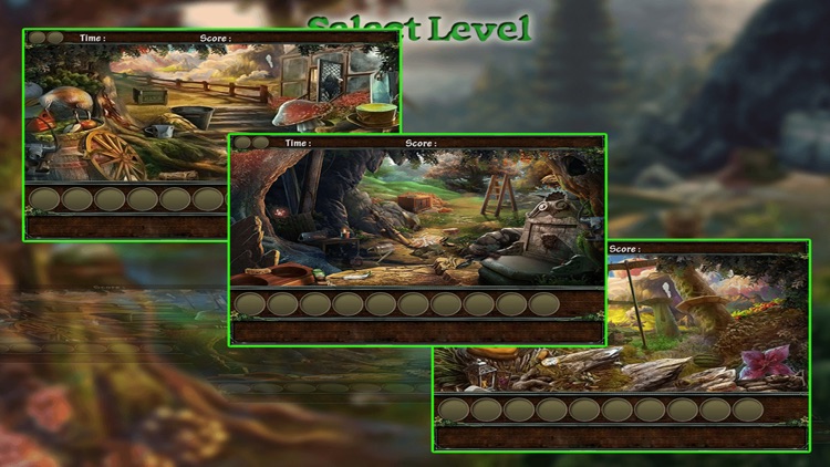 Hidden Object - Into The Forest Mysteries screenshot-3