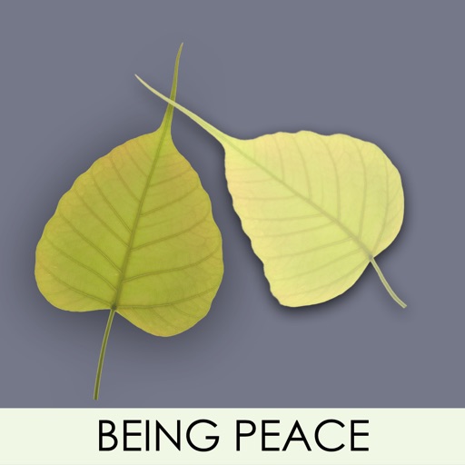 Being Peace icon