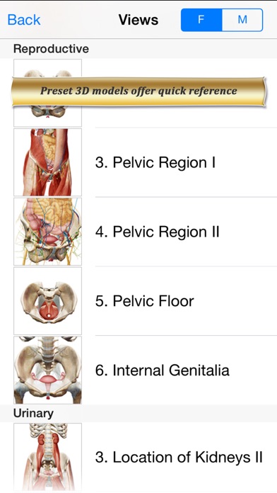 Reproductive and Urinary Anatomy Atlas: Essential Reference for Students and Healthcare Professionalsのおすすめ画像2