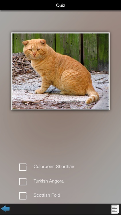 Cat Breeds Guide screenshot-3