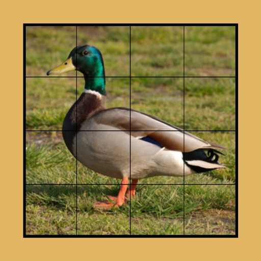 Duck Puzzles Extreme! Icon