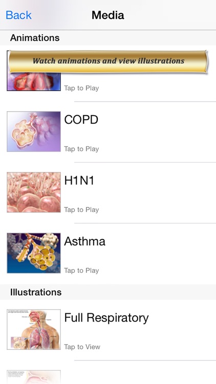 Respiratory Anatomy Atlas: Essential Reference for Students and Healthcare Professionals screenshot-3