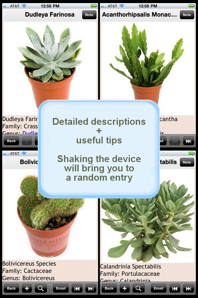 Cactus Plant Bible+ screenshot 2