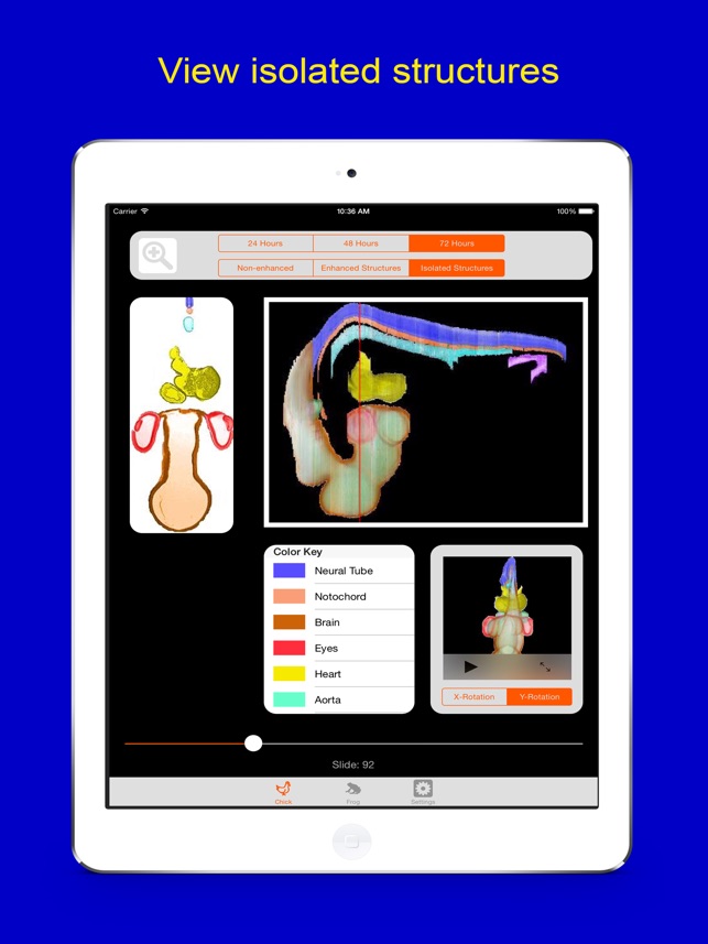 Dimensional Embryology(圖3)-速報App