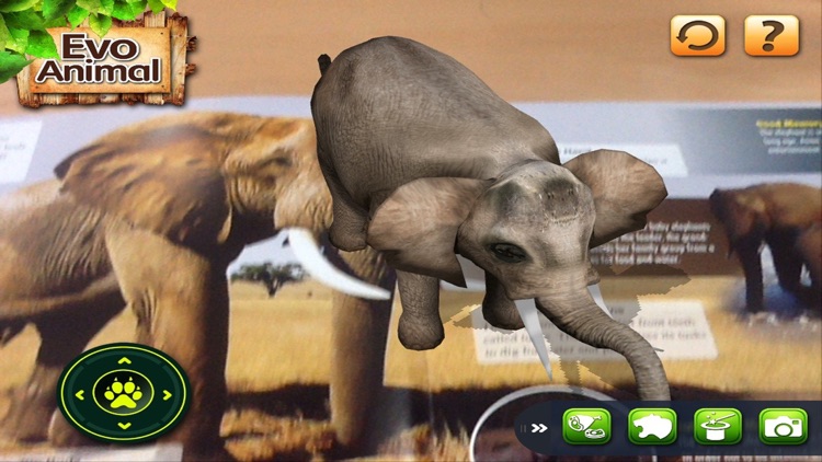 EVO ANIMAL - Augmented Reality