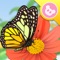 Kids love beautiful butterflies and their elegant dance