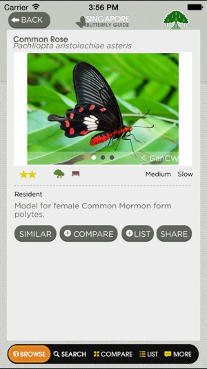 Butterflies of Singapore (NSS)(圖3)-速報App