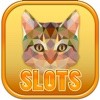 Cute Cats Purring Slots Machine - FREE Gambling World Series Tournament