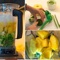 Smoothie Recipes video guide is the best video guide for you to make smoothie recipes