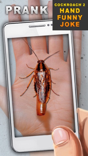 Cockroach 2 Hand Funny Joke(圖1)-速報App