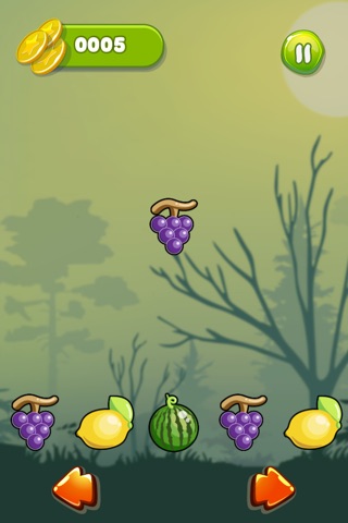 Fruit Catcher - Let's Have Some Juiciest Fun..!! screenshot 3