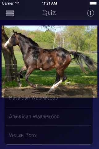 Horse Breeds Guide screenshot 4