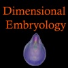 Dimensional Embryology