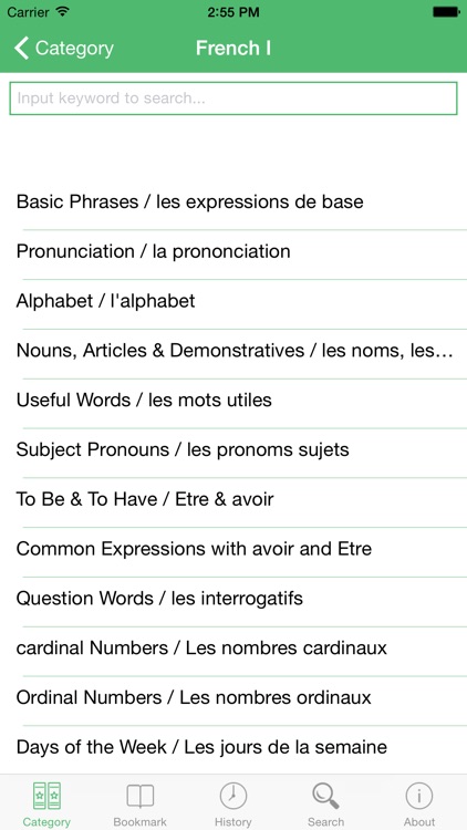 French Tutorial: Basic Phrases, Vocabulary and Grammar with Pronunciation