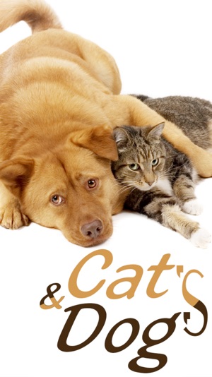 Cats & Dogs Hd Wallpapers and Backgrounds(圖1)-速報App