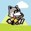 Raccoon Run - Go Fast And Dash Furious