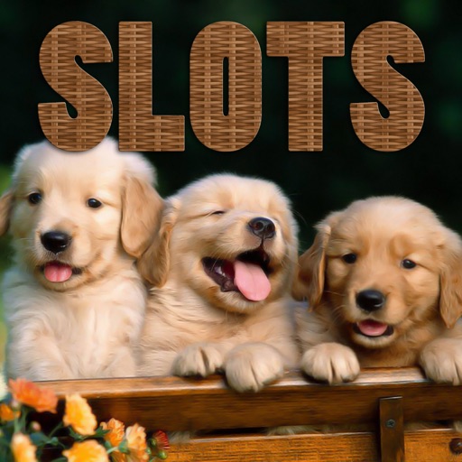Pet Shop Animals Slots - FREE Gambling World Series Tournament icon