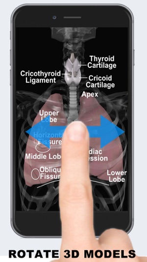 Anatomy 3D - Organs(圖2)-速報App