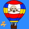 Dog series: Balloon Dog
