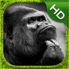 King Kong Simulator - HD