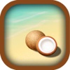 Collect Coconut In Backet