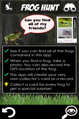 Ed's Frog Adventures screenshot 4