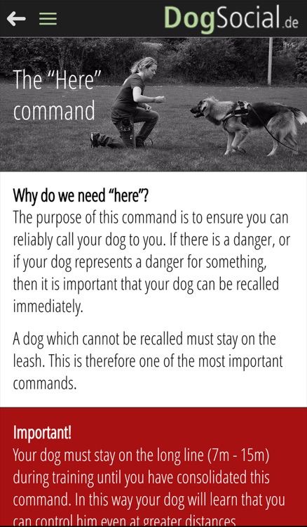 DogSocial Dog Training - Teaching the Basic Commands
