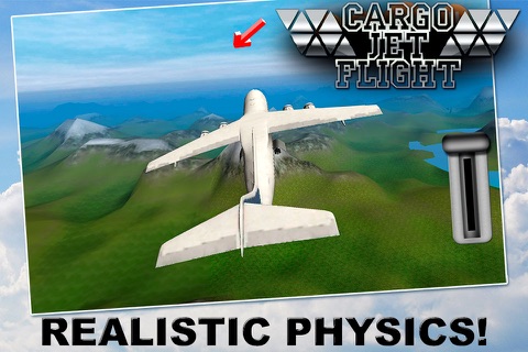 Cargo Jet: Flight Simulator 3D screenshot 4