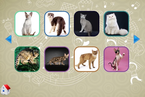Learning Dogs and Cats for Preschooler screenshot 3