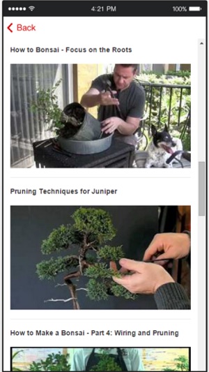 Bonsai Trees - How to Cultivate and Care for Bonsai Trees(圖3)-速報App