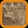 Hunter Stand: Deer Sniper Action