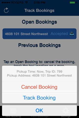 Airport Taxi Service Edmonton screenshot 3