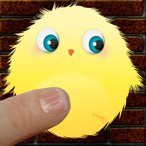 Tap Tap Bouncy Little Bird iOS App