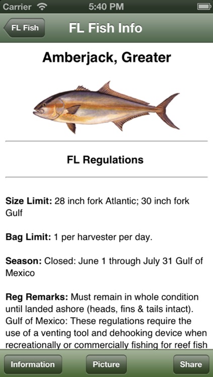 AL Saltwater Fishing Companion