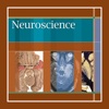 Lippincott's Illustrated Q&A Review of Neuroscience