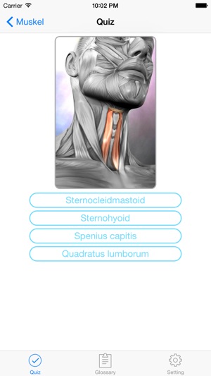 Anatomie Quiz & Glossar(圖5)-速報App