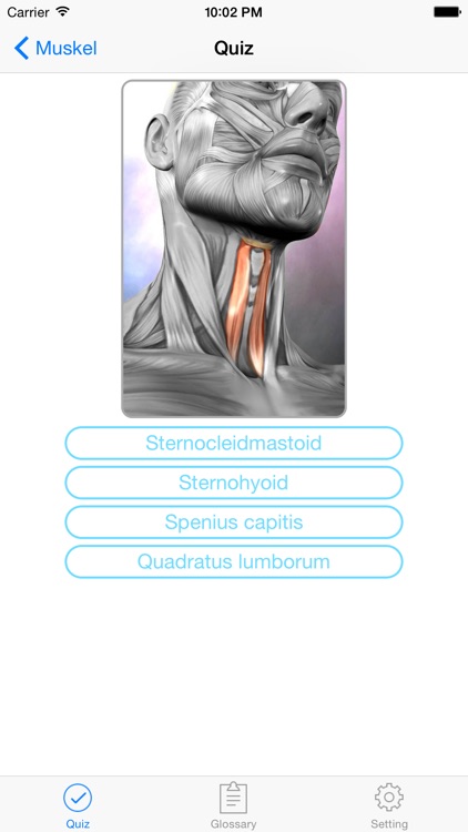 Anatomie Quiz & Glossar screenshot-4