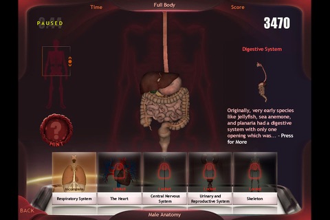 Evolutionary Anatomy screenshot 2