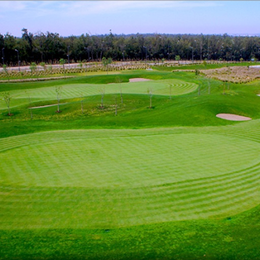 Tony Jacklin Casablanca icon