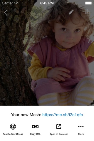 Mesh - Effortless Photo Sharing screenshot 4